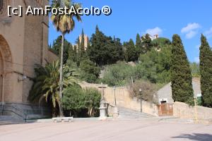 [P88] Mallorca, Artà, Am coborât scările și am ajuns în față la Església parroquial de la Transfiguració del Senyor » foto by mprofeanu
 - 
<span class="allrVoted glyphicon glyphicon-heart hidden" id="av1304124"></span>
<a class="m-l-10 hidden" id="sv1304124" onclick="voting_Foto_DelVot(,1304124,23018)" role="button">șterge vot <span class="glyphicon glyphicon-remove"></span></a>
<a id="v91304124" class=" c-red"  onclick="voting_Foto_SetVot(1304124)" role="button"><span class="glyphicon glyphicon-heart-empty"></span> <b>LIKE</b> = Votează poza</a> <img class="hidden"  id="f1304124W9" src="/imagini/loader.gif" border="0" /><span class="AjErrMes hidden" id="e1304124ErM"></span>