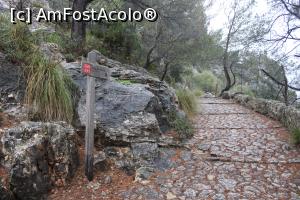 [P03] Părăsim Cami d´es Puig și urcăm la Puig Maria pe o poteca stâncoasă, în trepte, mai ploua.... » foto by mprofeanu
 - 
<span class="allrVoted glyphicon glyphicon-heart hidden" id="av1316197"></span>
<a class="m-l-10 hidden" id="sv1316197" onclick="voting_Foto_DelVot(,1316197,23018)" role="button">șterge vot <span class="glyphicon glyphicon-remove"></span></a>
<a id="v91316197" class=" c-red"  onclick="voting_Foto_SetVot(1316197)" role="button"><span class="glyphicon glyphicon-heart-empty"></span> <b>LIKE</b> = Votează poza</a> <img class="hidden"  id="f1316197W9" src="/imagini/loader.gif" border="0" /><span class="AjErrMes hidden" id="e1316197ErM"></span>