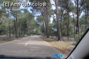 [P38] Mallorca, Mergem spre Mirador Es Colomer, mi-au plăcut mult enormii pini din toate locurile pe unde am umblat... » foto by mprofeanu
 - 
<span class="allrVoted glyphicon glyphicon-heart hidden" id="av1316232"></span>
<a class="m-l-10 hidden" id="sv1316232" onclick="voting_Foto_DelVot(,1316232,23018)" role="button">șterge vot <span class="glyphicon glyphicon-remove"></span></a>
<a id="v91316232" class=" c-red"  onclick="voting_Foto_SetVot(1316232)" role="button"><span class="glyphicon glyphicon-heart-empty"></span> <b>LIKE</b> = Votează poza</a> <img class="hidden"  id="f1316232W9" src="/imagini/loader.gif" border="0" /><span class="AjErrMes hidden" id="e1316232ErM"></span>