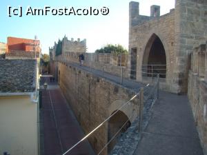 [P18] Hoinărind pe ziduri &icirc;n Alcudia » foto by Marius 72
 - 
<span class="allrVoted glyphicon glyphicon-heart hidden" id="av1170592"></span>
<a class="m-l-10 hidden" id="sv1170592" onclick="voting_Foto_DelVot(,1170592,23018)" role="button">șterge vot <span class="glyphicon glyphicon-remove"></span></a>
<a id="v91170592" class=" c-red"  onclick="voting_Foto_SetVot(1170592)" role="button"><span class="glyphicon glyphicon-heart-empty"></span> <b>LIKE</b> = Votează poza</a> <img class="hidden"  id="f1170592W9" src="/imagini/loader.gif" border="0" /><span class="AjErrMes hidden" id="e1170592ErM"></span>