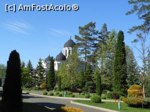 [P18] Mănăstirea Curchi - Mirificul parc dendrologic amenajat la mănăstire.  » foto by iulianic
 - 
<span class="allrVoted glyphicon glyphicon-heart hidden" id="av861859"></span>
<a class="m-l-10 hidden" id="sv861859" onclick="voting_Foto_DelVot(,861859,23037)" role="button">șterge vot <span class="glyphicon glyphicon-remove"></span></a>
<a id="v9861859" class=" c-red"  onclick="voting_Foto_SetVot(861859)" role="button"><span class="glyphicon glyphicon-heart-empty"></span> <b>LIKE</b> = Votează poza</a> <img class="hidden"  id="f861859W9" src="/imagini/loader.gif" border="0" /><span class="AjErrMes hidden" id="e861859ErM"></span>