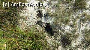 [P14] Crăpături cu apă noroioasă (dovedind un minim de activitate) în caldera vulcanului 1 » foto by Lucien
 - 
<span class="allrVoted glyphicon glyphicon-heart hidden" id="av964752"></span>
<a class="m-l-10 hidden" id="sv964752" onclick="voting_Foto_DelVot(,964752,23038)" role="button">șterge vot <span class="glyphicon glyphicon-remove"></span></a>
<a id="v9964752" class=" c-red"  onclick="voting_Foto_SetVot(964752)" role="button"><span class="glyphicon glyphicon-heart-empty"></span> <b>LIKE</b> = Votează poza</a> <img class="hidden"  id="f964752W9" src="/imagini/loader.gif" border="0" /><span class="AjErrMes hidden" id="e964752ErM"></span>