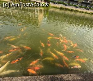 [P14] <strong>The Sands Khao Lak by Katathani </strong> » foto by elenaadina
 - 
<span class="allrVoted glyphicon glyphicon-heart hidden" id="av1354702"></span>
<a class="m-l-10 hidden" id="sv1354702" onclick="voting_Foto_DelVot(,1354702,23092)" role="button">șterge vot <span class="glyphicon glyphicon-remove"></span></a>
<a id="v91354702" class=" c-red"  onclick="voting_Foto_SetVot(1354702)" role="button"><span class="glyphicon glyphicon-heart-empty"></span> <b>LIKE</b> = Votează poza</a> <img class="hidden"  id="f1354702W9" src="/imagini/loader.gif" border="0" /><span class="AjErrMes hidden" id="e1354702ErM"></span>