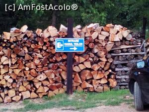[P01]  -- <small>// FĂRĂ DESCRIERE</small> » foto by Linux
 - 
<span class="allrVoted glyphicon glyphicon-heart hidden" id="av879930"></span>
<a class="m-l-10 hidden" id="sv879930" onclick="voting_Foto_DelVot(,879930,23095)" role="button">șterge vot <span class="glyphicon glyphicon-remove"></span></a>
<a id="v9879930" class=" c-red"  onclick="voting_Foto_SetVot(879930)" role="button"><span class="glyphicon glyphicon-heart-empty"></span> <b>LIKE</b> = Votează poza</a> <img class="hidden"  id="f879930W9" src="/imagini/loader.gif" border="0" /><span class="AjErrMes hidden" id="e879930ErM"></span>