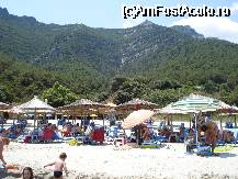 [P01] Paradise beach zona de umbrele » foto by ionescunic
 - 
<span class="allrVoted glyphicon glyphicon-heart hidden" id="av38621"></span>
<a class="m-l-10 hidden" id="sv38621" onclick="voting_Foto_DelVot(,38621,23100)" role="button">șterge vot <span class="glyphicon glyphicon-remove"></span></a>
<a id="v938621" class=" c-red"  onclick="voting_Foto_SetVot(38621)" role="button"><span class="glyphicon glyphicon-heart-empty"></span> <b>LIKE</b> = Votează poza</a> <img class="hidden"  id="f38621W9" src="/imagini/loader.gif" border="0" /><span class="AjErrMes hidden" id="e38621ErM"></span>