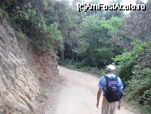 [P12] Drumul forestier de acces , pamant, panta ,curbe » foto by ionescunic
 - 
<span class="allrVoted glyphicon glyphicon-heart hidden" id="av38632"></span>
<a class="m-l-10 hidden" id="sv38632" onclick="voting_Foto_DelVot(,38632,23100)" role="button">șterge vot <span class="glyphicon glyphicon-remove"></span></a>
<a id="v938632" class=" c-red"  onclick="voting_Foto_SetVot(38632)" role="button"><span class="glyphicon glyphicon-heart-empty"></span> <b>LIKE</b> = Votează poza</a> <img class="hidden"  id="f38632W9" src="/imagini/loader.gif" border="0" /><span class="AjErrMes hidden" id="e38632ErM"></span>