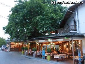 [P20] Panagia - În piaţa centrală.  » foto by iulianic
 - 
<span class="allrVoted glyphicon glyphicon-heart hidden" id="av523725"></span>
<a class="m-l-10 hidden" id="sv523725" onclick="voting_Foto_DelVot(,523725,23102)" role="button">șterge vot <span class="glyphicon glyphicon-remove"></span></a>
<a id="v9523725" class=" c-red"  onclick="voting_Foto_SetVot(523725)" role="button"><span class="glyphicon glyphicon-heart-empty"></span> <b>LIKE</b> = Votează poza</a> <img class="hidden"  id="f523725W9" src="/imagini/loader.gif" border="0" /><span class="AjErrMes hidden" id="e523725ErM"></span>