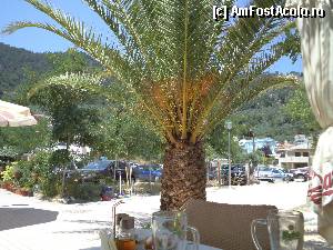 [P01] Pe terasa Fedra...  » foto by Lyssys
 - 
<span class="allrVoted glyphicon glyphicon-heart hidden" id="av342121"></span>
<a class="m-l-10 hidden" id="sv342121" onclick="voting_Foto_DelVot(,342121,23102)" role="button">șterge vot <span class="glyphicon glyphicon-remove"></span></a>
<a id="v9342121" class=" c-red"  onclick="voting_Foto_SetVot(342121)" role="button"><span class="glyphicon glyphicon-heart-empty"></span> <b>LIKE</b> = Votează poza</a> <img class="hidden"  id="f342121W9" src="/imagini/loader.gif" border="0" /><span class="AjErrMes hidden" id="e342121ErM"></span>