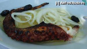 [P22] Caracatiţă... tot a la Fedra! (R. Fedra)  » foto by Lyssys
 - 
<span class="allrVoted glyphicon glyphicon-heart hidden" id="av342142"></span>
<a class="m-l-10 hidden" id="sv342142" onclick="voting_Foto_DelVot(,342142,23102)" role="button">șterge vot <span class="glyphicon glyphicon-remove"></span></a>
<a id="v9342142" class=" c-red"  onclick="voting_Foto_SetVot(342142)" role="button"><span class="glyphicon glyphicon-heart-empty"></span> <b>LIKE</b> = Votează poza</a> <img class="hidden"  id="f342142W9" src="/imagini/loader.gif" border="0" /><span class="AjErrMes hidden" id="e342142ErM"></span>