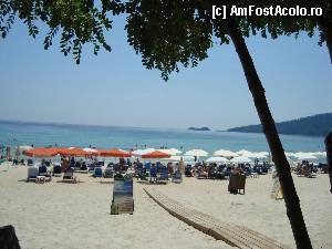 [P28] O scrutare a plajei, în aşteptarea prânzului, pe terasa R. Fedra » foto by Lyssys
 - 
<span class="allrVoted glyphicon glyphicon-heart hidden" id="av342148"></span>
<a class="m-l-10 hidden" id="sv342148" onclick="voting_Foto_DelVot(,342148,23102)" role="button">șterge vot <span class="glyphicon glyphicon-remove"></span></a>
<a id="v9342148" class=" c-red"  onclick="voting_Foto_SetVot(342148)" role="button"><span class="glyphicon glyphicon-heart-empty"></span> <b>LIKE</b> = Votează poza</a> <img class="hidden"  id="f342148W9" src="/imagini/loader.gif" border="0" /><span class="AjErrMes hidden" id="e342148ErM"></span>