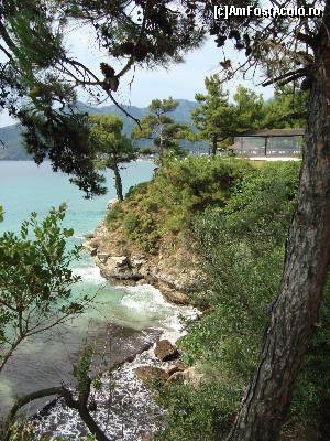 [P30] Un colțișor din Vigli, între coroane de pini...  » foto by Lyssys
 - 
<span class="allrVoted glyphicon glyphicon-heart hidden" id="av619110"></span>
<a class="m-l-10 hidden" id="sv619110" onclick="voting_Foto_DelVot(,619110,23102)" role="button">șterge vot <span class="glyphicon glyphicon-remove"></span></a>
<a id="v9619110" class=" c-red"  onclick="voting_Foto_SetVot(619110)" role="button"><span class="glyphicon glyphicon-heart-empty"></span> <b>LIKE</b> = Votează poza</a> <img class="hidden"  id="f619110W9" src="/imagini/loader.gif" border="0" /><span class="AjErrMes hidden" id="e619110ErM"></span>