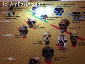 [P04] Sectiunea istorie - arheologie - diferitii homo si cand au trait dumnealor » foto by Dan&Ema
 - 
<span class="allrVoted glyphicon glyphicon-heart hidden" id="av1026956"></span>
<a class="m-l-10 hidden" id="sv1026956" onclick="voting_Foto_DelVot(,1026956,23117)" role="button">șterge vot <span class="glyphicon glyphicon-remove"></span></a>
<a id="v91026956" class=" c-red"  onclick="voting_Foto_SetVot(1026956)" role="button"><span class="glyphicon glyphicon-heart-empty"></span> <b>LIKE</b> = Votează poza</a> <img class="hidden"  id="f1026956W9" src="/imagini/loader.gif" border="0" /><span class="AjErrMes hidden" id="e1026956ErM"></span>
