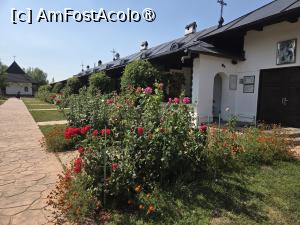 [P35] Mănăstirea Alexandru Vlahuță » foto by adso
 - 
<span class="allrVoted glyphicon glyphicon-heart hidden" id="av1542390"></span>
<a class="m-l-10 hidden" id="sv1542390" onclick="voting_Foto_DelVot(,1542390,23117)" role="button">șterge vot <span class="glyphicon glyphicon-remove"></span></a>
<a id="v91542390" class=" c-red"  onclick="voting_Foto_SetVot(1542390)" role="button"><span class="glyphicon glyphicon-heart-empty"></span> <b>LIKE</b> = Votează poza</a> <img class="hidden"  id="f1542390W9" src="/imagini/loader.gif" border="0" /><span class="AjErrMes hidden" id="e1542390ErM"></span>