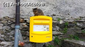 [P05] Un locuitor din Corippo așteptând poșta » foto by Mika
 - 
<span class="allrVoted glyphicon glyphicon-heart hidden" id="av925326"></span>
<a class="m-l-10 hidden" id="sv925326" onclick="voting_Foto_DelVot(,925326,23118)" role="button">șterge vot <span class="glyphicon glyphicon-remove"></span></a>
<a id="v9925326" class=" c-red"  onclick="voting_Foto_SetVot(925326)" role="button"><span class="glyphicon glyphicon-heart-empty"></span> <b>LIKE</b> = Votează poza</a> <img class="hidden"  id="f925326W9" src="/imagini/loader.gif" border="0" /><span class="AjErrMes hidden" id="e925326ErM"></span>