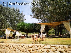 [P01] Anemos - beach-bar la umbra măslinilor » foto by crismis
 - 
<span class="allrVoted glyphicon glyphicon-heart hidden" id="av1269183"></span>
<a class="m-l-10 hidden" id="sv1269183" onclick="voting_Foto_DelVot(,1269183,23123)" role="button">șterge vot <span class="glyphicon glyphicon-remove"></span></a>
<a id="v91269183" class=" c-red"  onclick="voting_Foto_SetVot(1269183)" role="button"><span class="glyphicon glyphicon-heart-empty"></span> <b>LIKE</b> = Votează poza</a> <img class="hidden"  id="f1269183W9" src="/imagini/loader.gif" border="0" /><span class="AjErrMes hidden" id="e1269183ErM"></span>