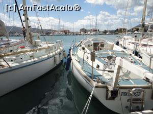 [P38] Pe care s-o aleg?  » foto by maryka
 - 
<span class="allrVoted glyphicon glyphicon-heart hidden" id="av943709"></span>
<a class="m-l-10 hidden" id="sv943709" onclick="voting_Foto_DelVot(,943709,23140)" role="button">șterge vot <span class="glyphicon glyphicon-remove"></span></a>
<a id="v9943709" class=" c-red"  onclick="voting_Foto_SetVot(943709)" role="button"><span class="glyphicon glyphicon-heart-empty"></span> <b>LIKE</b> = Votează poza</a> <img class="hidden"  id="f943709W9" src="/imagini/loader.gif" border="0" /><span class="AjErrMes hidden" id="e943709ErM"></span>