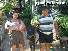 [P34] Mica gradina zoo si poneiul buclucas » foto by raduu1972
 - 
<span class="allrVoted glyphicon glyphicon-heart hidden" id="av152136"></span>
<a class="m-l-10 hidden" id="sv152136" onclick="voting_Foto_DelVot(,152136,23140)" role="button">șterge vot <span class="glyphicon glyphicon-remove"></span></a>
<a id="v9152136" class=" c-red"  onclick="voting_Foto_SetVot(152136)" role="button"><span class="glyphicon glyphicon-heart-empty"></span> <b>LIKE</b> = Votează poza</a> <img class="hidden"  id="f152136W9" src="/imagini/loader.gif" border="0" /><span class="AjErrMes hidden" id="e152136ErM"></span>