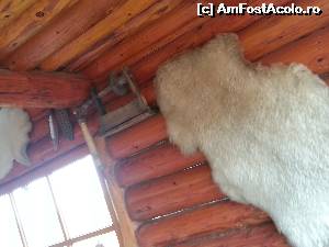 [P02] Pensiunea Perla Neamtului - vedere din foisor. Admiram decorul rustic: blanuri agatate pe barnele din lemn, perii, unelte din lemn » foto by Dan&Ema
 - 
<span class="allrVoted glyphicon glyphicon-heart hidden" id="av549092"></span>
<a class="m-l-10 hidden" id="sv549092" onclick="voting_Foto_DelVot(,549092,23159)" role="button">șterge vot <span class="glyphicon glyphicon-remove"></span></a>
<a id="v9549092" class=" c-red"  onclick="voting_Foto_SetVot(549092)" role="button"><span class="glyphicon glyphicon-heart-empty"></span> <b>LIKE</b> = Votează poza</a> <img class="hidden"  id="f549092W9" src="/imagini/loader.gif" border="0" /><span class="AjErrMes hidden" id="e549092ErM"></span>