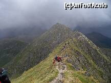 [P22] Romania - spre varful Moldoveanu, Fagaras » foto by Lumis66
 - 
<span class="allrVoted glyphicon glyphicon-heart hidden" id="av275107"></span>
<a class="m-l-10 hidden" id="sv275107" onclick="voting_Foto_DelVot(,275107,23162)" role="button">șterge vot <span class="glyphicon glyphicon-remove"></span></a>
<a id="v9275107" class=" c-red"  onclick="voting_Foto_SetVot(275107)" role="button"><span class="glyphicon glyphicon-heart-empty"></span> <b>LIKE</b> = Votează poza</a> <img class="hidden"  id="f275107W9" src="/imagini/loader.gif" border="0" /><span class="AjErrMes hidden" id="e275107ErM"></span>