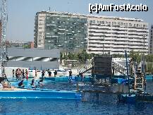 [P15] Delfinariul de la Oceanografic - spectaculos si elegant » foto by sandu.53
 - 
<span class="allrVoted glyphicon glyphicon-heart hidden" id="av160553"></span>
<a class="m-l-10 hidden" id="sv160553" onclick="voting_Foto_DelVot(,160553,23166)" role="button">șterge vot <span class="glyphicon glyphicon-remove"></span></a>
<a id="v9160553" class=" c-red"  onclick="voting_Foto_SetVot(160553)" role="button"><span class="glyphicon glyphicon-heart-empty"></span> <b>LIKE</b> = Votează poza</a> <img class="hidden"  id="f160553W9" src="/imagini/loader.gif" border="0" /><span class="AjErrMes hidden" id="e160553ErM"></span>