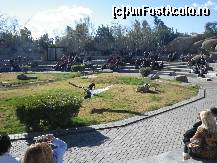 [P10] Si pasarile pot fi dresate...  » foto by Irina1974
 - 
<span class="allrVoted glyphicon glyphicon-heart hidden" id="av461503"></span>
<a class="m-l-10 hidden" id="sv461503" onclick="voting_Foto_DelVot(,461503,23167)" role="button">șterge vot <span class="glyphicon glyphicon-remove"></span></a>
<a id="v9461503" class=" c-red"  onclick="voting_Foto_SetVot(461503)" role="button"><span class="glyphicon glyphicon-heart-empty"></span> <b>LIKE</b> = Votează poza</a> <img class="hidden"  id="f461503W9" src="/imagini/loader.gif" border="0" /><span class="AjErrMes hidden" id="e461503ErM"></span>