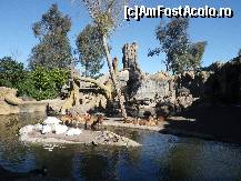 [P12] cateva caprite isi fac siesta » foto by Irina1974
 - 
<span class="allrVoted glyphicon glyphicon-heart hidden" id="av461505"></span>
<a class="m-l-10 hidden" id="sv461505" onclick="voting_Foto_DelVot(,461505,23167)" role="button">șterge vot <span class="glyphicon glyphicon-remove"></span></a>
<a id="v9461505" class=" c-red"  onclick="voting_Foto_SetVot(461505)" role="button"><span class="glyphicon glyphicon-heart-empty"></span> <b>LIKE</b> = Votează poza</a> <img class="hidden"  id="f461505W9" src="/imagini/loader.gif" border="0" /><span class="AjErrMes hidden" id="e461505ErM"></span>