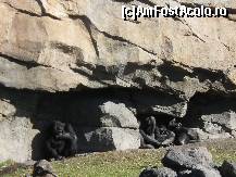 [P14] E cam mult soare...  » foto by Irina1974
 - 
<span class="allrVoted glyphicon glyphicon-heart hidden" id="av461507"></span>
<a class="m-l-10 hidden" id="sv461507" onclick="voting_Foto_DelVot(,461507,23167)" role="button">șterge vot <span class="glyphicon glyphicon-remove"></span></a>
<a id="v9461507" class=" c-red"  onclick="voting_Foto_SetVot(461507)" role="button"><span class="glyphicon glyphicon-heart-empty"></span> <b>LIKE</b> = Votează poza</a> <img class="hidden"  id="f461507W9" src="/imagini/loader.gif" border="0" /><span class="AjErrMes hidden" id="e461507ErM"></span>