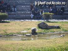 [P07] Primii actori - porcii spinosi - de fapt ei sunt dresati sa caute mancare in anumite zone din amfiteatru » foto by Irina1974
 - 
<span class="allrVoted glyphicon glyphicon-heart hidden" id="av461500"></span>
<a class="m-l-10 hidden" id="sv461500" onclick="voting_Foto_DelVot(,461500,23167)" role="button">șterge vot <span class="glyphicon glyphicon-remove"></span></a>
<a id="v9461500" class=" c-red"  onclick="voting_Foto_SetVot(461500)" role="button"><span class="glyphicon glyphicon-heart-empty"></span> <b>LIKE</b> = Votează poza</a> <img class="hidden"  id="f461500W9" src="/imagini/loader.gif" border="0" /><span class="AjErrMes hidden" id="e461500ErM"></span>