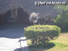 [P08] Asta a gresit drumul... si a fost scos pe sus de un ingrijitor » foto by Irina1974
 - 
<span class="allrVoted glyphicon glyphicon-heart hidden" id="av461501"></span>
<a class="m-l-10 hidden" id="sv461501" onclick="voting_Foto_DelVot(,461501,23167)" role="button">șterge vot <span class="glyphicon glyphicon-remove"></span></a>
<a id="v9461501" class=" c-red"  onclick="voting_Foto_SetVot(461501)" role="button"><span class="glyphicon glyphicon-heart-empty"></span> <b>LIKE</b> = Votează poza</a> <img class="hidden"  id="f461501W9" src="/imagini/loader.gif" border="0" /><span class="AjErrMes hidden" id="e461501ErM"></span>