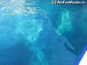 [P40] Croaziera spre Laguna Albastra- Blue Caves » foto by luciaoradea
 - 
<span class="allrVoted glyphicon glyphicon-heart hidden" id="av643528"></span>
<a class="m-l-10 hidden" id="sv643528" onclick="voting_Foto_DelVot(,643528,23178)" role="button">șterge vot <span class="glyphicon glyphicon-remove"></span></a>
<a id="v9643528" class=" c-red"  onclick="voting_Foto_SetVot(643528)" role="button"><span class="glyphicon glyphicon-heart-empty"></span> <b>LIKE</b> = Votează poza</a> <img class="hidden"  id="f643528W9" src="/imagini/loader.gif" border="0" /><span class="AjErrMes hidden" id="e643528ErM"></span>