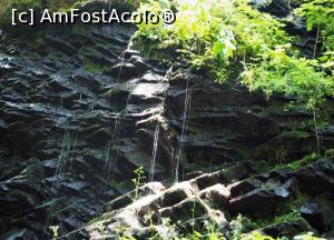 [P19] Cascada Vârșag » foto by BOGDAN DSN
 - 
<span class="allrVoted glyphicon glyphicon-heart hidden" id="av1331160"></span>
<a class="m-l-10 hidden" id="sv1331160" onclick="voting_Foto_DelVot(,1331160,23187)" role="button">șterge vot <span class="glyphicon glyphicon-remove"></span></a>
<a id="v91331160" class=" c-red"  onclick="voting_Foto_SetVot(1331160)" role="button"><span class="glyphicon glyphicon-heart-empty"></span> <b>LIKE</b> = Votează poza</a> <img class="hidden"  id="f1331160W9" src="/imagini/loader.gif" border="0" /><span class="AjErrMes hidden" id="e1331160ErM"></span>