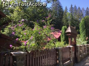 [P13] Hai-hui prin Covasna - Balvanyos flori si multa verdeata » foto by mishu
 - 
<span class="allrVoted glyphicon glyphicon-heart hidden" id="av1186991"></span>
<a class="m-l-10 hidden" id="sv1186991" onclick="voting_Foto_DelVot(,1186991,23187)" role="button">șterge vot <span class="glyphicon glyphicon-remove"></span></a>
<a id="v91186991" class=" c-red"  onclick="voting_Foto_SetVot(1186991)" role="button"><span class="glyphicon glyphicon-heart-empty"></span> <b>LIKE</b> = Votează poza</a> <img class="hidden"  id="f1186991W9" src="/imagini/loader.gif" border="0" /><span class="AjErrMes hidden" id="e1186991ErM"></span>
