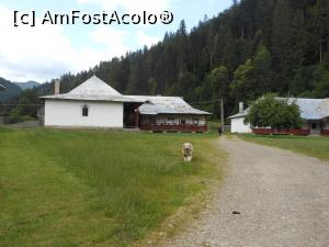 [P18] Mănăstirea Sihăstria Tarcăului - În incintă, un câine prietenos. » foto by iulianic
 - 
<span class="allrVoted glyphicon glyphicon-heart hidden" id="av1181615"></span>
<a class="m-l-10 hidden" id="sv1181615" onclick="voting_Foto_DelVot(,1181615,23204)" role="button">șterge vot <span class="glyphicon glyphicon-remove"></span></a>
<a id="v91181615" class=" c-red"  onclick="voting_Foto_SetVot(1181615)" role="button"><span class="glyphicon glyphicon-heart-empty"></span> <b>LIKE</b> = Votează poza</a> <img class="hidden"  id="f1181615W9" src="/imagini/loader.gif" border="0" /><span class="AjErrMes hidden" id="e1181615ErM"></span>