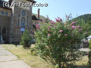 [P10] Pe Valea Tarcăului - Școala gimnazială "Iulia Hălăucescu" din Tarcău. » foto by iulianic
 - 
<span class="allrVoted glyphicon glyphicon-heart hidden" id="av1182823"></span>
<a class="m-l-10 hidden" id="sv1182823" onclick="voting_Foto_DelVot(,1182823,23204)" role="button">șterge vot <span class="glyphicon glyphicon-remove"></span></a>
<a id="v91182823" class=" c-red"  onclick="voting_Foto_SetVot(1182823)" role="button"><span class="glyphicon glyphicon-heart-empty"></span> <b>LIKE</b> = Votează poza</a> <img class="hidden"  id="f1182823W9" src="/imagini/loader.gif" border="0" /><span class="AjErrMes hidden" id="e1182823ErM"></span>