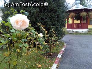 [P22] Oraș Bicaz, pe Bistrița, parcul primăriei.  » foto by danaeldreny*
 - 
<span class="allrVoted glyphicon glyphicon-heart hidden" id="av928270"></span>
<a class="m-l-10 hidden" id="sv928270" onclick="voting_Foto_DelVot(,928270,23204)" role="button">șterge vot <span class="glyphicon glyphicon-remove"></span></a>
<a id="v9928270" class=" c-red"  onclick="voting_Foto_SetVot(928270)" role="button"><span class="glyphicon glyphicon-heart-empty"></span> <b>LIKE</b> = Votează poza</a> <img class="hidden"  id="f928270W9" src="/imagini/loader.gif" border="0" /><span class="AjErrMes hidden" id="e928270ErM"></span>