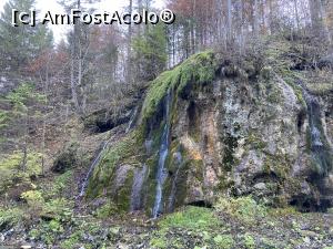 [P05] Cascada La Chişătoare - micuţă şi drăguţă » foto by nicole33
 - 
<span class="allrVoted glyphicon glyphicon-heart hidden" id="av1327712"></span>
<a class="m-l-10 hidden" id="sv1327712" onclick="voting_Foto_DelVot(,1327712,23210)" role="button">șterge vot <span class="glyphicon glyphicon-remove"></span></a>
<a id="v91327712" class=" c-red"  onclick="voting_Foto_SetVot(1327712)" role="button"><span class="glyphicon glyphicon-heart-empty"></span> <b>LIKE</b> = Votează poza</a> <img class="hidden"  id="f1327712W9" src="/imagini/loader.gif" border="0" /><span class="AjErrMes hidden" id="e1327712ErM"></span>