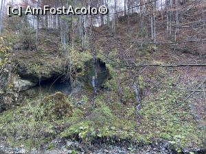 [P06] Cascada La Chişătoare - micuţă şi drăguţă » foto by nicole33
 - 
<span class="allrVoted glyphicon glyphicon-heart hidden" id="av1327713"></span>
<a class="m-l-10 hidden" id="sv1327713" onclick="voting_Foto_DelVot(,1327713,23210)" role="button">șterge vot <span class="glyphicon glyphicon-remove"></span></a>
<a id="v91327713" class=" c-red"  onclick="voting_Foto_SetVot(1327713)" role="button"><span class="glyphicon glyphicon-heart-empty"></span> <b>LIKE</b> = Votează poza</a> <img class="hidden"  id="f1327713W9" src="/imagini/loader.gif" border="0" /><span class="AjErrMes hidden" id="e1327713ErM"></span>