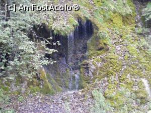 [P04] Apa cascadei, croindu-si drum prin verdeata stancilor » foto by liviu49
 - 
<span class="allrVoted glyphicon glyphicon-heart hidden" id="av928439"></span>
<a class="m-l-10 hidden" id="sv928439" onclick="voting_Foto_DelVot(,928439,23210)" role="button">șterge vot <span class="glyphicon glyphicon-remove"></span></a>
<a id="v9928439" class=" c-red"  onclick="voting_Foto_SetVot(928439)" role="button"><span class="glyphicon glyphicon-heart-empty"></span> <b>LIKE</b> = Votează poza</a> <img class="hidden"  id="f928439W9" src="/imagini/loader.gif" border="0" /><span class="AjErrMes hidden" id="e928439ErM"></span>