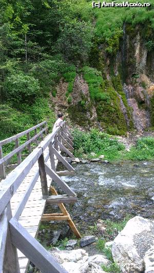[P01] Podul catre cascada La Chisatoare » foto by ked
 - 
<span class="allrVoted glyphicon glyphicon-heart hidden" id="av524994"></span>
<a class="m-l-10 hidden" id="sv524994" onclick="voting_Foto_DelVot(,524994,23210)" role="button">șterge vot <span class="glyphicon glyphicon-remove"></span></a>
<a id="v9524994" class=" c-red"  onclick="voting_Foto_SetVot(524994)" role="button"><span class="glyphicon glyphicon-heart-empty"></span> <b>LIKE</b> = Votează poza</a> <img class="hidden"  id="f524994W9" src="/imagini/loader.gif" border="0" /><span class="AjErrMes hidden" id="e524994ErM"></span>