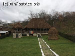 [P10] De, o frumusete aparte.  » foto by RossoNerro
 - 
<span class="allrVoted glyphicon glyphicon-heart hidden" id="av928626"></span>
<a class="m-l-10 hidden" id="sv928626" onclick="voting_Foto_DelVot(,928626,23213)" role="button">șterge vot <span class="glyphicon glyphicon-remove"></span></a>
<a id="v9928626" class=" c-red"  onclick="voting_Foto_SetVot(928626)" role="button"><span class="glyphicon glyphicon-heart-empty"></span> <b>LIKE</b> = Votează poza</a> <img class="hidden"  id="f928626W9" src="/imagini/loader.gif" border="0" /><span class="AjErrMes hidden" id="e928626ErM"></span>