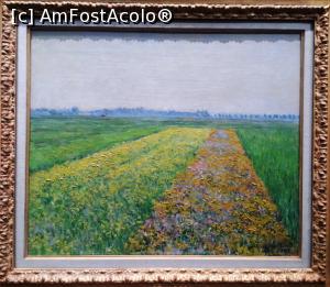 [P06] Gustave Caillebotte - Campul galben de la Cermevillers » foto by Radu Tudoran
 - 
<span class="allrVoted glyphicon glyphicon-heart hidden" id="av930690"></span>
<a class="m-l-10 hidden" id="sv930690" onclick="voting_Foto_DelVot(,930690,23235)" role="button">șterge vot <span class="glyphicon glyphicon-remove"></span></a>
<a id="v9930690" class=" c-red"  onclick="voting_Foto_SetVot(930690)" role="button"><span class="glyphicon glyphicon-heart-empty"></span> <b>LIKE</b> = Votează poza</a> <img class="hidden"  id="f930690W9" src="/imagini/loader.gif" border="0" /><span class="AjErrMes hidden" id="e930690ErM"></span>