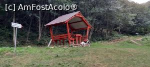 [P09] Ținutul Buzăului,  Poiana, loc de popas în plan îndepărtat se vede poteca ce urcă la Trovanții Babele de la Ulmet » foto by mprofeanu
 - 
<span class="allrVoted glyphicon glyphicon-heart hidden" id="av1406812"></span>
<a class="m-l-10 hidden" id="sv1406812" onclick="voting_Foto_DelVot(,1406812,23238)" role="button">șterge vot <span class="glyphicon glyphicon-remove"></span></a>
<a id="v91406812" class=" c-red"  onclick="voting_Foto_SetVot(1406812)" role="button"><span class="glyphicon glyphicon-heart-empty"></span> <b>LIKE</b> = Votează poza</a> <img class="hidden"  id="f1406812W9" src="/imagini/loader.gif" border="0" /><span class="AjErrMes hidden" id="e1406812ErM"></span>