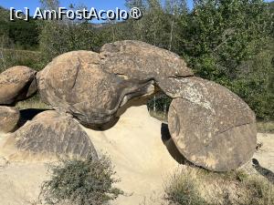 [P11] Trovanții » foto by Yersinia Pestis
 - 
<span class="allrVoted glyphicon glyphicon-heart hidden" id="av1500072"></span>
<a class="m-l-10 hidden" id="sv1500072" onclick="voting_Foto_DelVot(,1500072,23238)" role="button">șterge vot <span class="glyphicon glyphicon-remove"></span></a>
<a id="v91500072" class=" c-red"  onclick="voting_Foto_SetVot(1500072)" role="button"><span class="glyphicon glyphicon-heart-empty"></span> <b>LIKE</b> = Votează poza</a> <img class="hidden"  id="f1500072W9" src="/imagini/loader.gif" border="0" /><span class="AjErrMes hidden" id="e1500072ErM"></span>