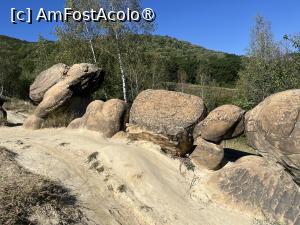 [P12] Trovanții » foto by Yersinia Pestis
 - 
<span class="allrVoted glyphicon glyphicon-heart hidden" id="av1500073"></span>
<a class="m-l-10 hidden" id="sv1500073" onclick="voting_Foto_DelVot(,1500073,23238)" role="button">șterge vot <span class="glyphicon glyphicon-remove"></span></a>
<a id="v91500073" class=" c-red"  onclick="voting_Foto_SetVot(1500073)" role="button"><span class="glyphicon glyphicon-heart-empty"></span> <b>LIKE</b> = Votează poza</a> <img class="hidden"  id="f1500073W9" src="/imagini/loader.gif" border="0" /><span class="AjErrMes hidden" id="e1500073ErM"></span>