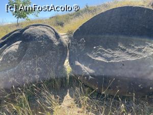 [P15] Trovanții » foto by Yersinia Pestis
 - 
<span class="allrVoted glyphicon glyphicon-heart hidden" id="av1500076"></span>
<a class="m-l-10 hidden" id="sv1500076" onclick="voting_Foto_DelVot(,1500076,23238)" role="button">șterge vot <span class="glyphicon glyphicon-remove"></span></a>
<a id="v91500076" class=" c-red"  onclick="voting_Foto_SetVot(1500076)" role="button"><span class="glyphicon glyphicon-heart-empty"></span> <b>LIKE</b> = Votează poza</a> <img class="hidden"  id="f1500076W9" src="/imagini/loader.gif" border="0" /><span class="AjErrMes hidden" id="e1500076ErM"></span>