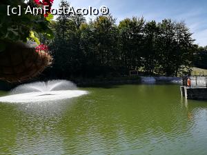 [P15] Cota 1000 Șuior » foto by Cris
 - 
<span class="allrVoted glyphicon glyphicon-heart hidden" id="av936513"></span>
<a class="m-l-10 hidden" id="sv936513" onclick="voting_Foto_DelVot(,936513,23290)" role="button">șterge vot <span class="glyphicon glyphicon-remove"></span></a>
<a id="v9936513" class=" c-red"  onclick="voting_Foto_SetVot(936513)" role="button"><span class="glyphicon glyphicon-heart-empty"></span> <b>LIKE</b> = Votează poza</a> <img class="hidden"  id="f936513W9" src="/imagini/loader.gif" border="0" /><span class="AjErrMes hidden" id="e936513ErM"></span>