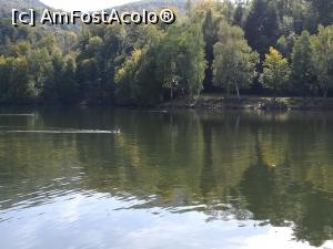 [P33] Mogoșa și lacul Bodi » foto by Cris
 - 
<span class="allrVoted glyphicon glyphicon-heart hidden" id="av936536"></span>
<a class="m-l-10 hidden" id="sv936536" onclick="voting_Foto_DelVot(,936536,23290)" role="button">șterge vot <span class="glyphicon glyphicon-remove"></span></a>
<a id="v9936536" class=" c-red"  onclick="voting_Foto_SetVot(936536)" role="button"><span class="glyphicon glyphicon-heart-empty"></span> <b>LIKE</b> = Votează poza</a> <img class="hidden"  id="f936536W9" src="/imagini/loader.gif" border="0" /><span class="AjErrMes hidden" id="e936536ErM"></span>
