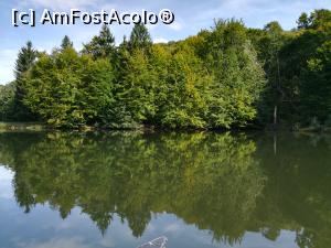 [P37] Mogoșa și lacul Bodi » foto by Cris
 - 
<span class="allrVoted glyphicon glyphicon-heart hidden" id="av936540"></span>
<a class="m-l-10 hidden" id="sv936540" onclick="voting_Foto_DelVot(,936540,23290)" role="button">șterge vot <span class="glyphicon glyphicon-remove"></span></a>
<a id="v9936540" class=" c-red"  onclick="voting_Foto_SetVot(936540)" role="button"><span class="glyphicon glyphicon-heart-empty"></span> <b>LIKE</b> = Votează poza</a> <img class="hidden"  id="f936540W9" src="/imagini/loader.gif" border="0" /><span class="AjErrMes hidden" id="e936540ErM"></span>
