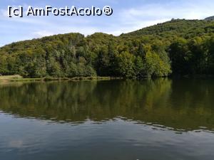 [P39] Mogoșa și lacul Bodi » foto by Cris
 - 
<span class="allrVoted glyphicon glyphicon-heart hidden" id="av936542"></span>
<a class="m-l-10 hidden" id="sv936542" onclick="voting_Foto_DelVot(,936542,23290)" role="button">șterge vot <span class="glyphicon glyphicon-remove"></span></a>
<a id="v9936542" class=" c-red"  onclick="voting_Foto_SetVot(936542)" role="button"><span class="glyphicon glyphicon-heart-empty"></span> <b>LIKE</b> = Votează poza</a> <img class="hidden"  id="f936542W9" src="/imagini/loader.gif" border="0" /><span class="AjErrMes hidden" id="e936542ErM"></span>
