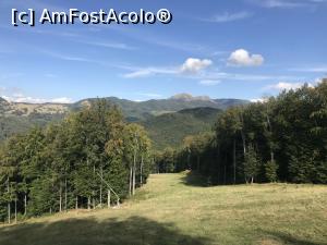 [P42] Peisajul și pârtia » foto by krisstinna
 - 
<span class="allrVoted glyphicon glyphicon-heart hidden" id="av1197268"></span>
<a class="m-l-10 hidden" id="sv1197268" onclick="voting_Foto_DelVot(,1197268,23290)" role="button">șterge vot <span class="glyphicon glyphicon-remove"></span></a>
<a id="v91197268" class=" c-red"  onclick="voting_Foto_SetVot(1197268)" role="button"><span class="glyphicon glyphicon-heart-empty"></span> <b>LIKE</b> = Votează poza</a> <img class="hidden"  id="f1197268W9" src="/imagini/loader.gif" border="0" /><span class="AjErrMes hidden" id="e1197268ErM"></span>